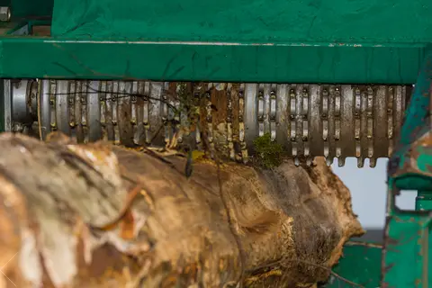 a piece of wood being debarked